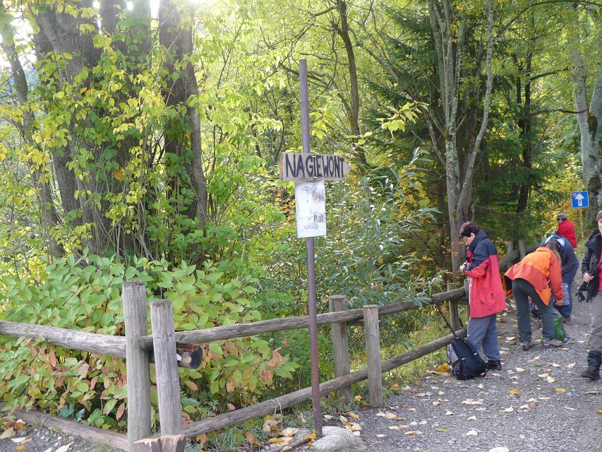 img00002.jpg