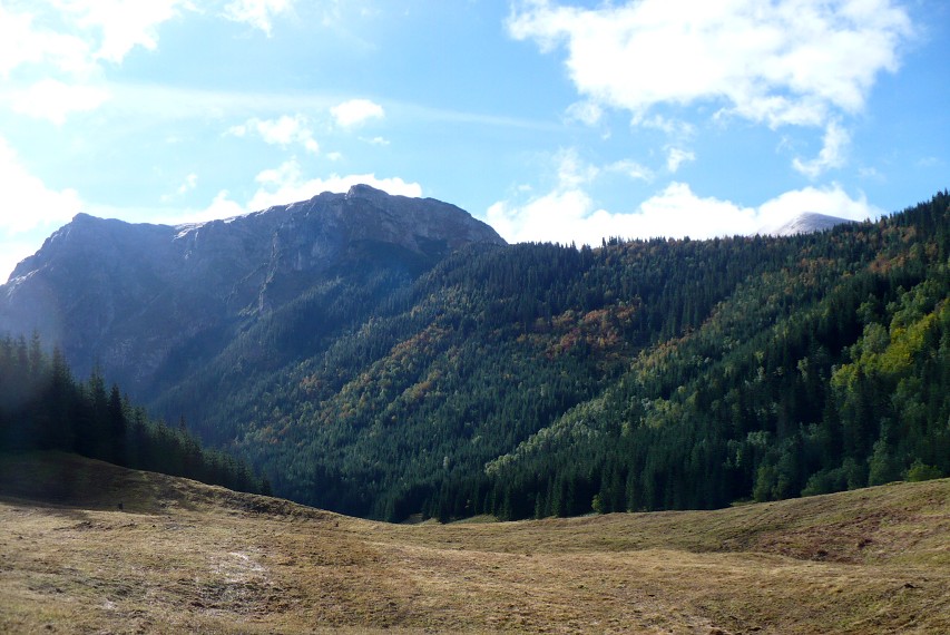 img00009.jpg