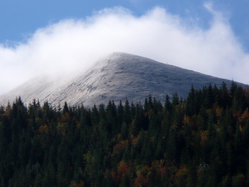 img00010.jpg