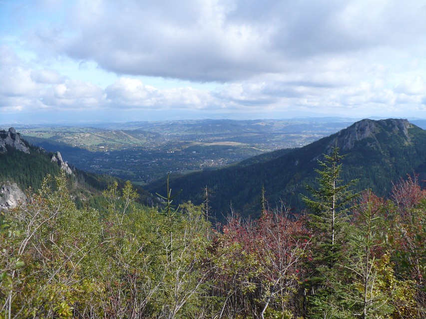 img00015.jpg