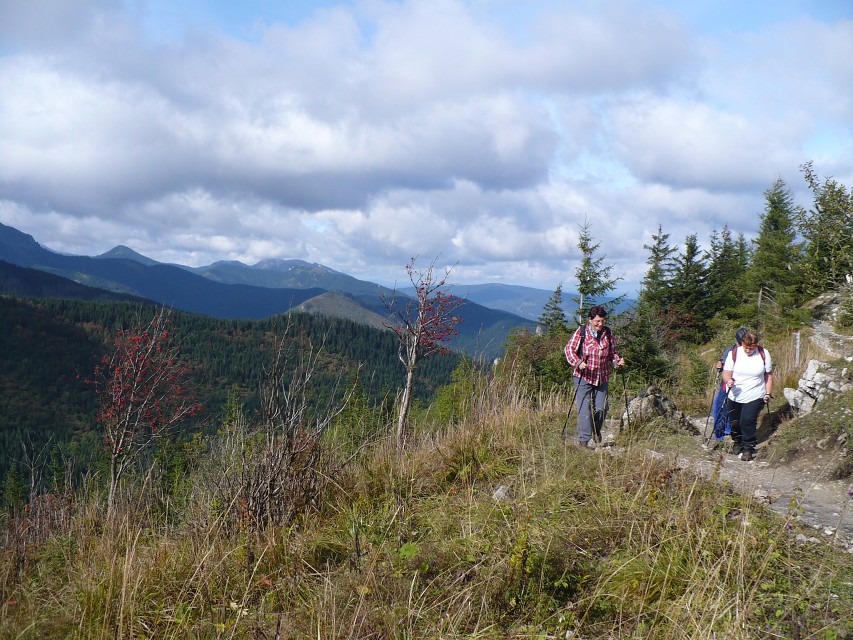 img00017.jpg