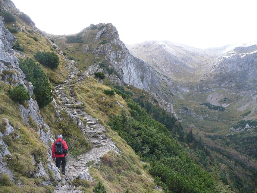 img00019.jpg