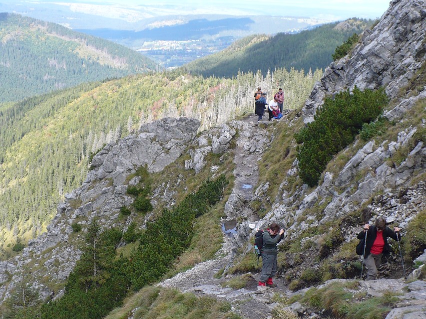 img00020.jpg
