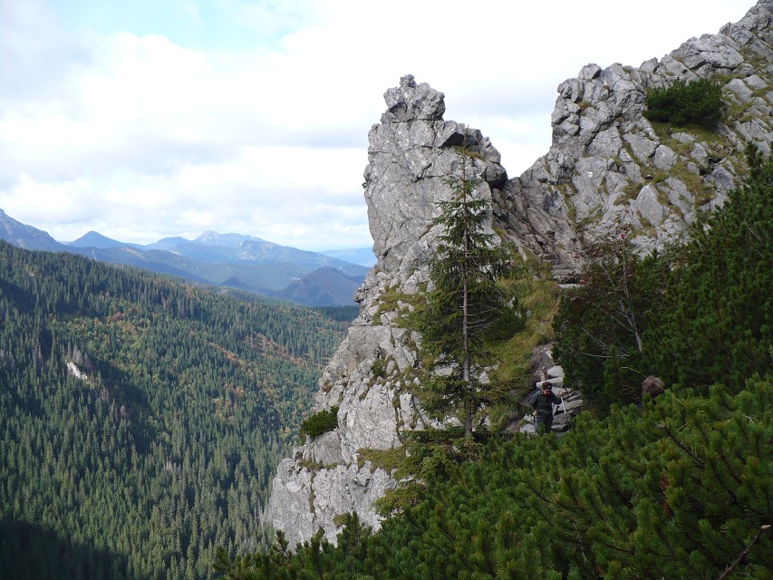 img00022.jpg