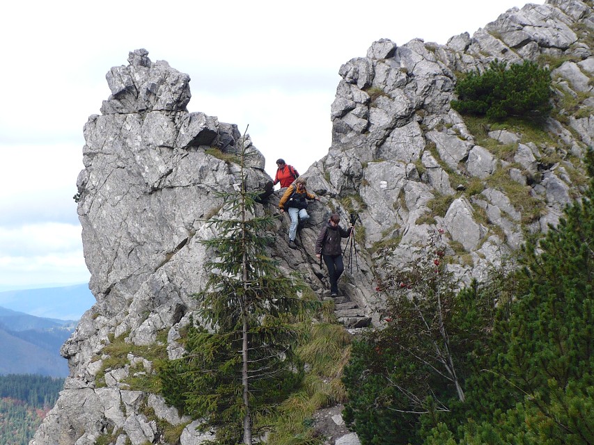 img00024.jpg