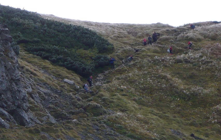 img00025.jpg
