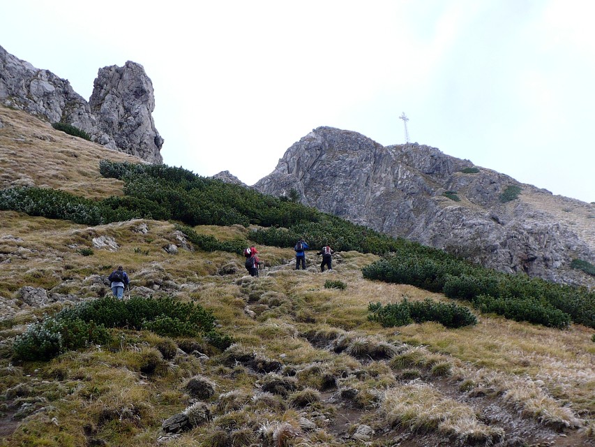 img00029.jpg