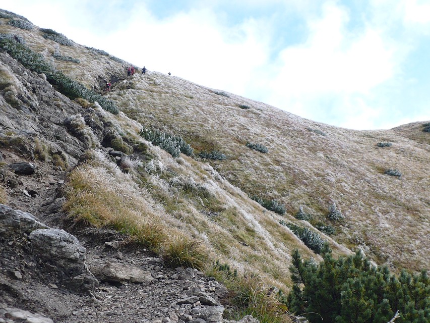 img00031.jpg
