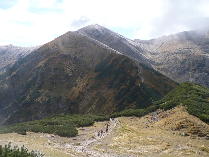 img00038.jpg