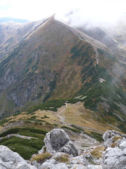 img00044.jpg