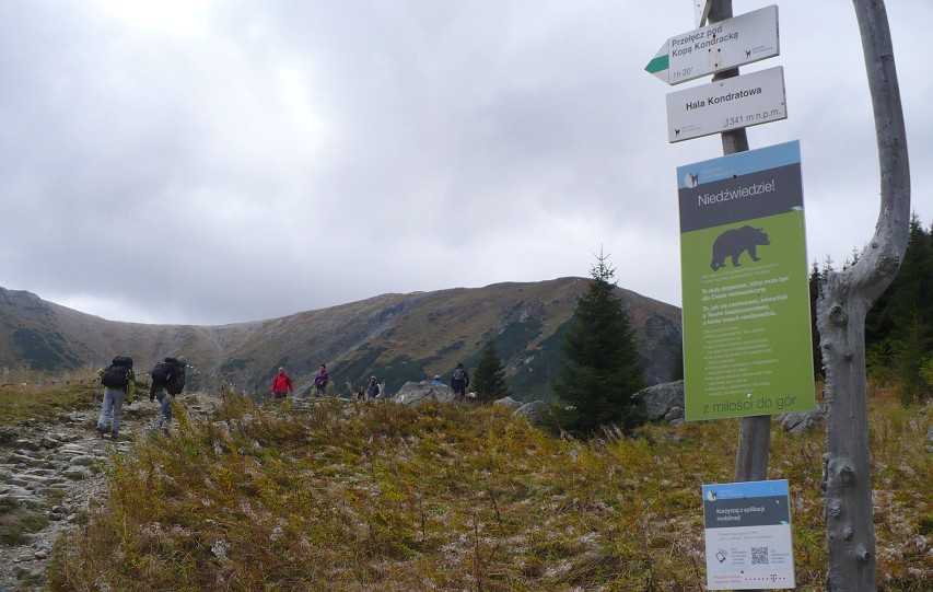 img00052.jpg