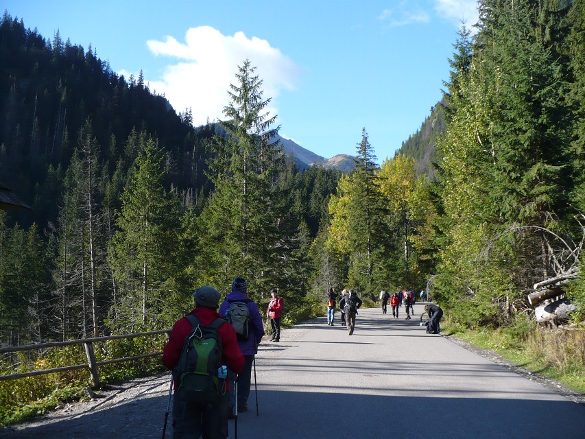 img00062.jpg