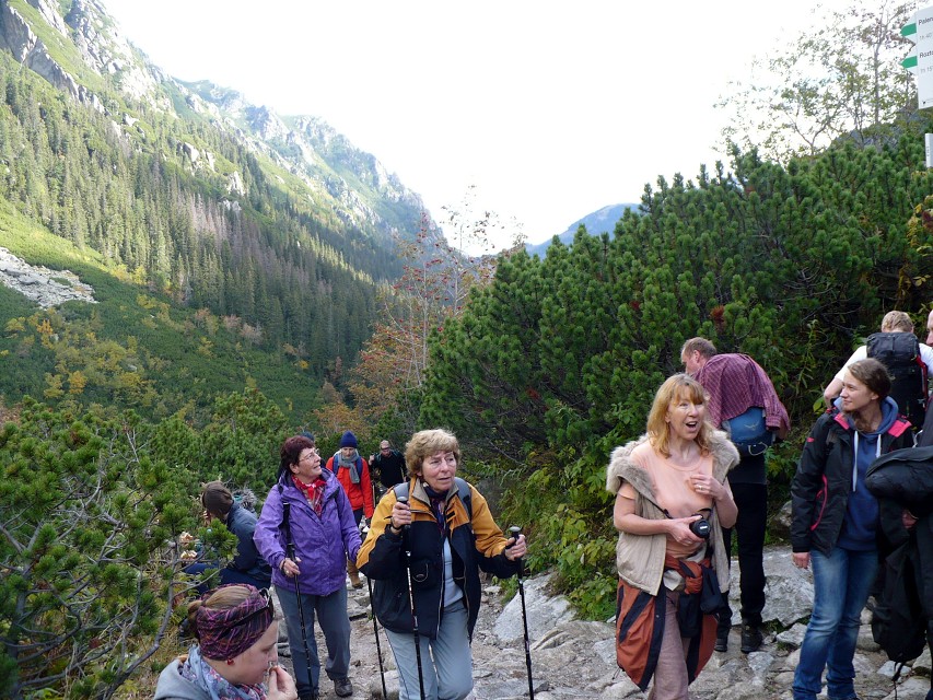 img00070.jpg