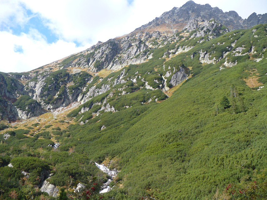 img00072.jpg