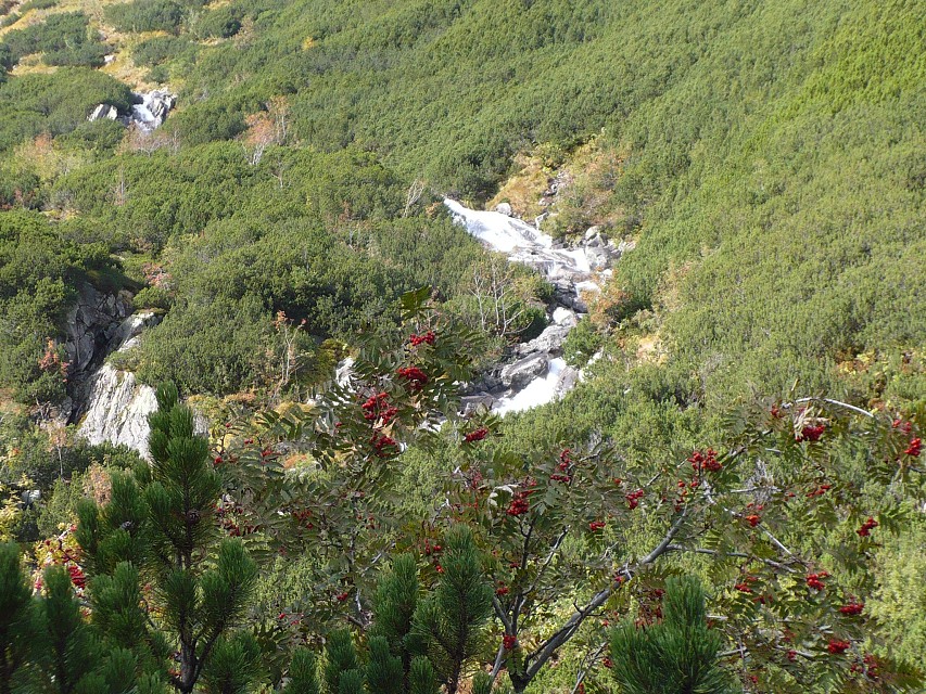 img00073.jpg