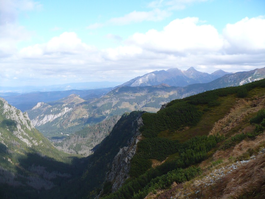 img00095.jpg
