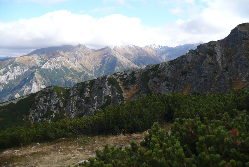 img00100.jpg