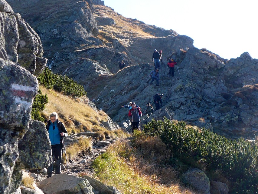 img00134.jpg