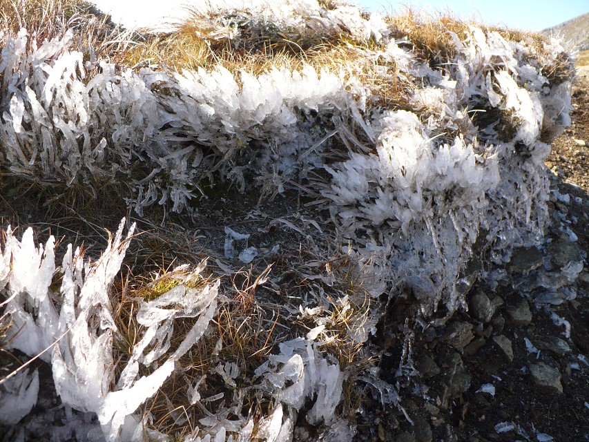 img00140.jpg