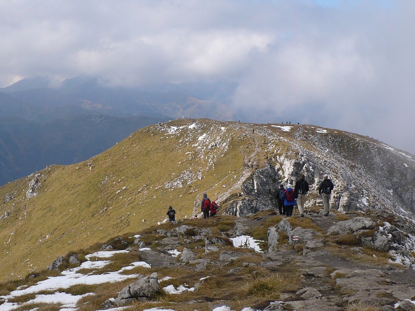 img00157.jpg