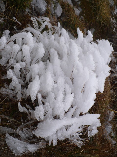 img00164.jpg