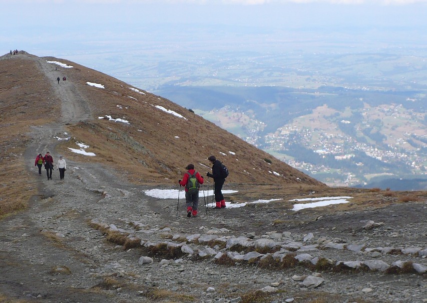 img00165.jpg