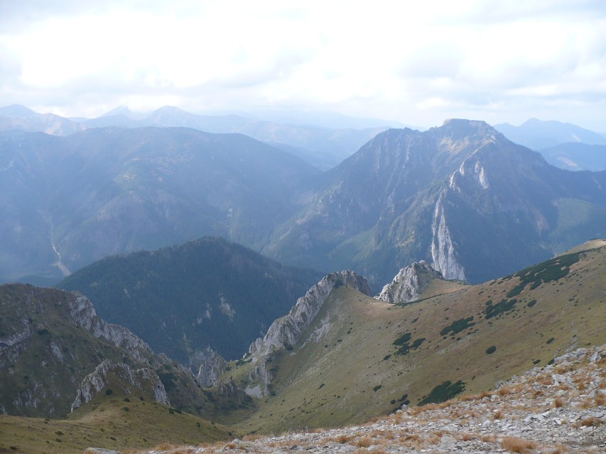 img00168.jpg