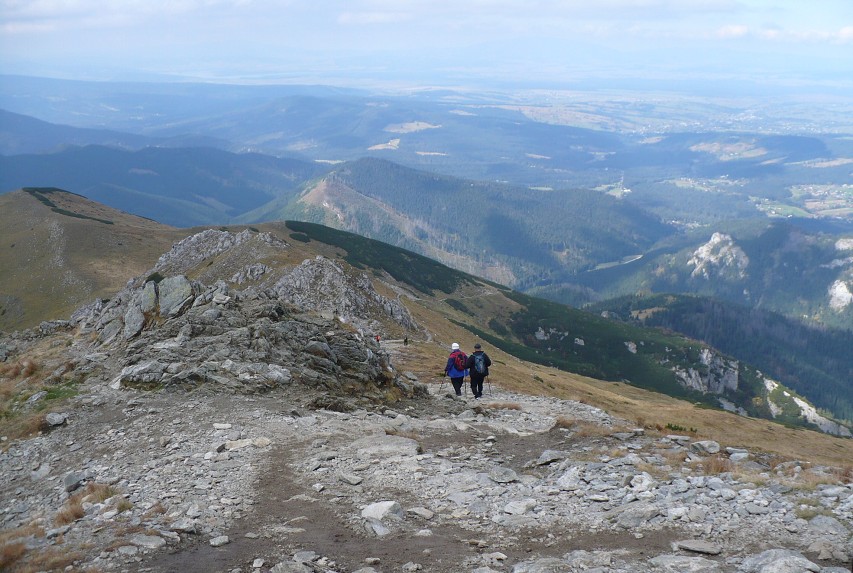 img00169.jpg