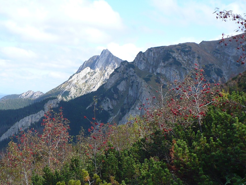 img00174.jpg