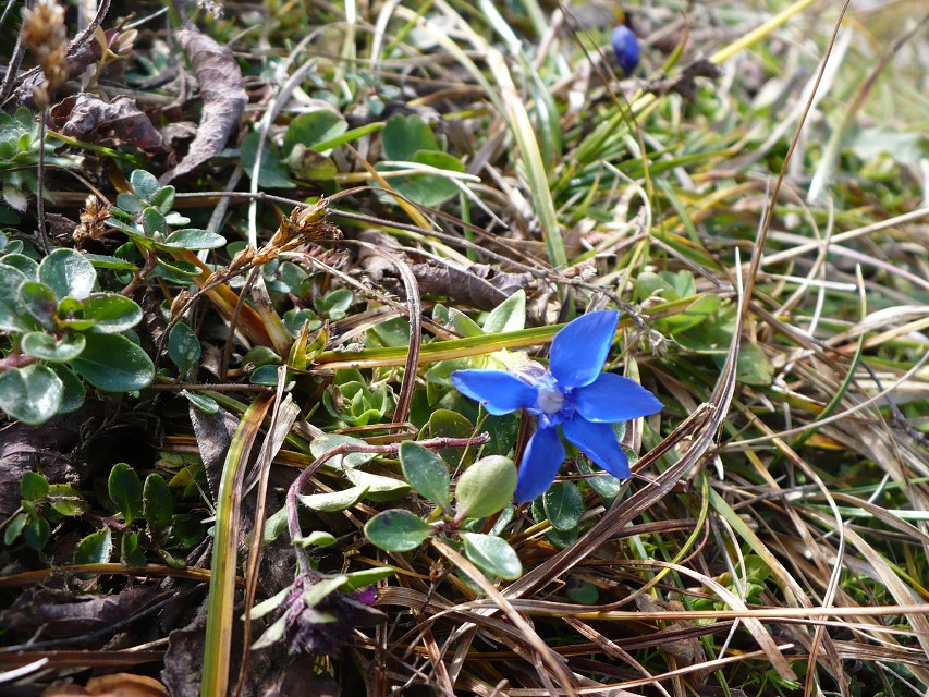 img00175.jpg
