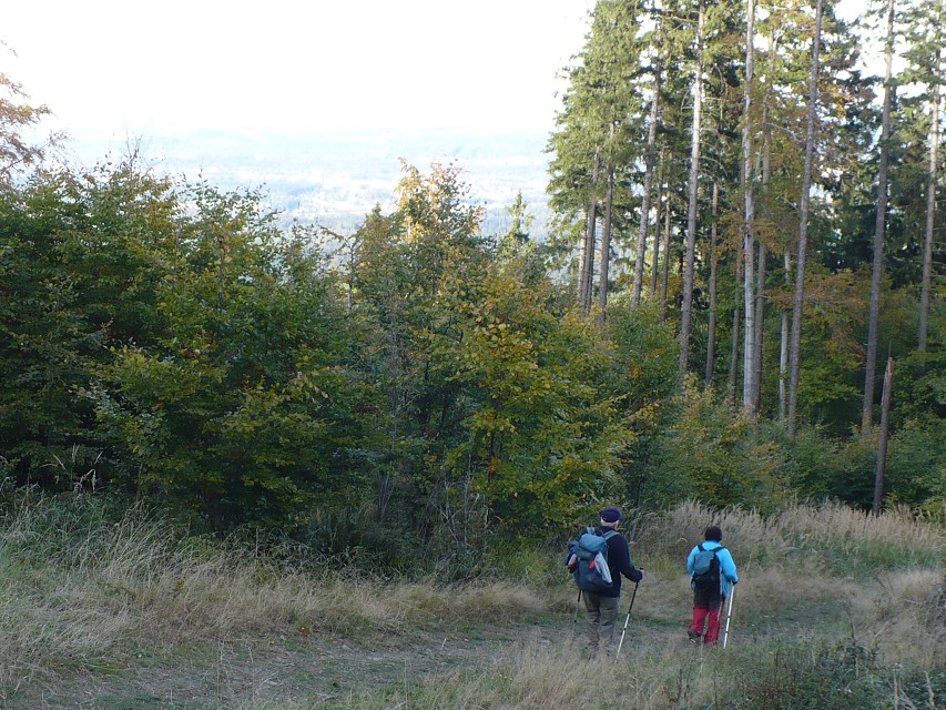 img00015.jpg