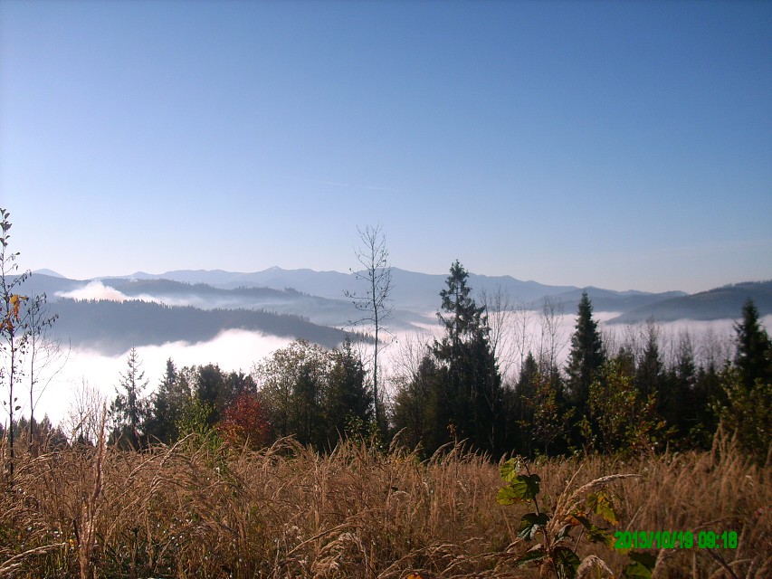 img00006.jpg
