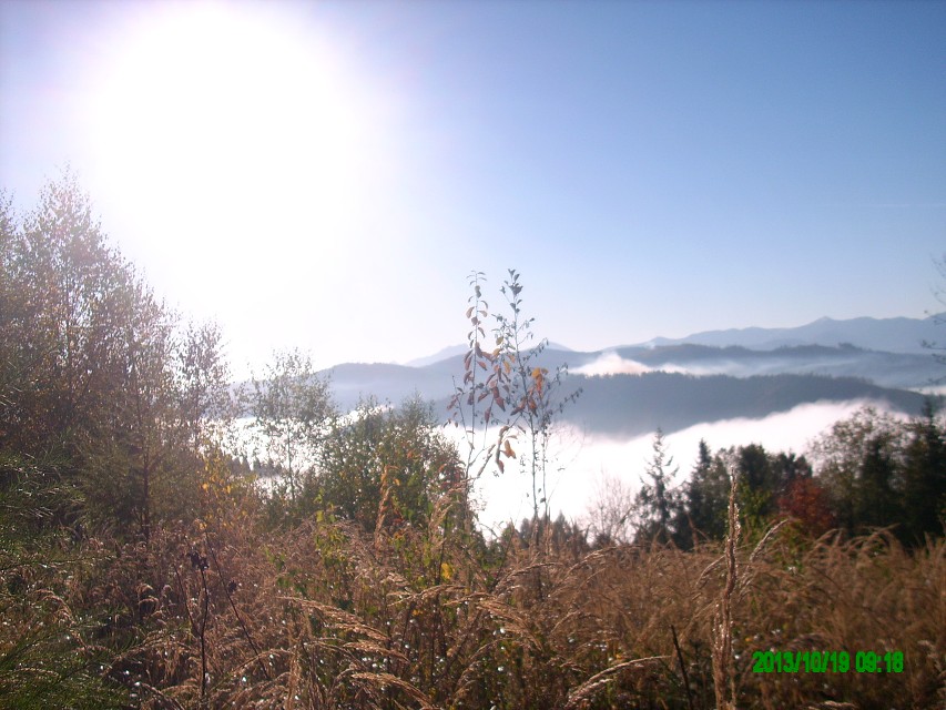 img00007.jpg