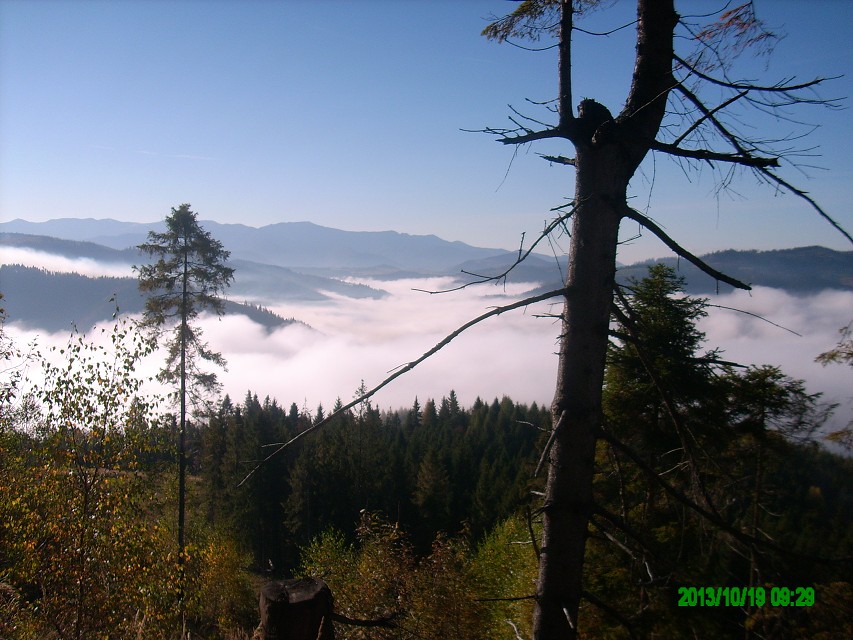 img00009.jpg