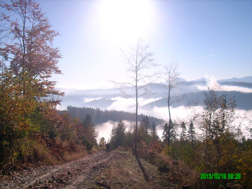 img00010.jpg