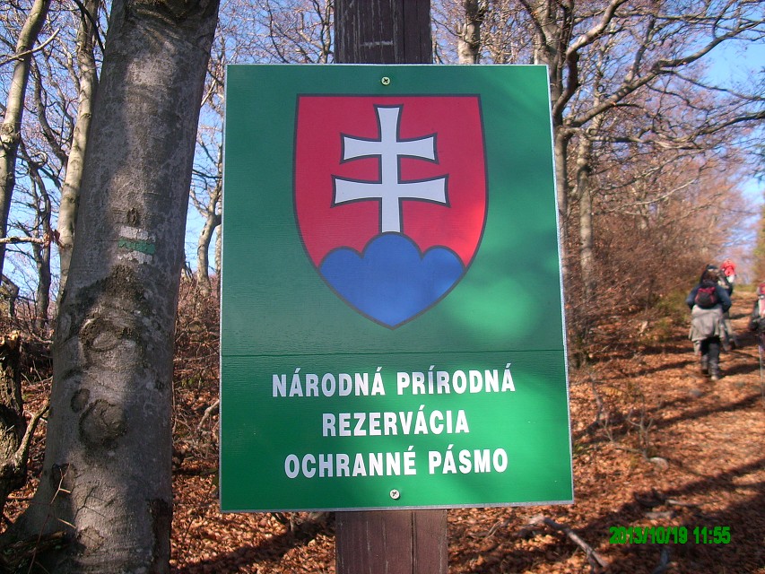 img00017.jpg