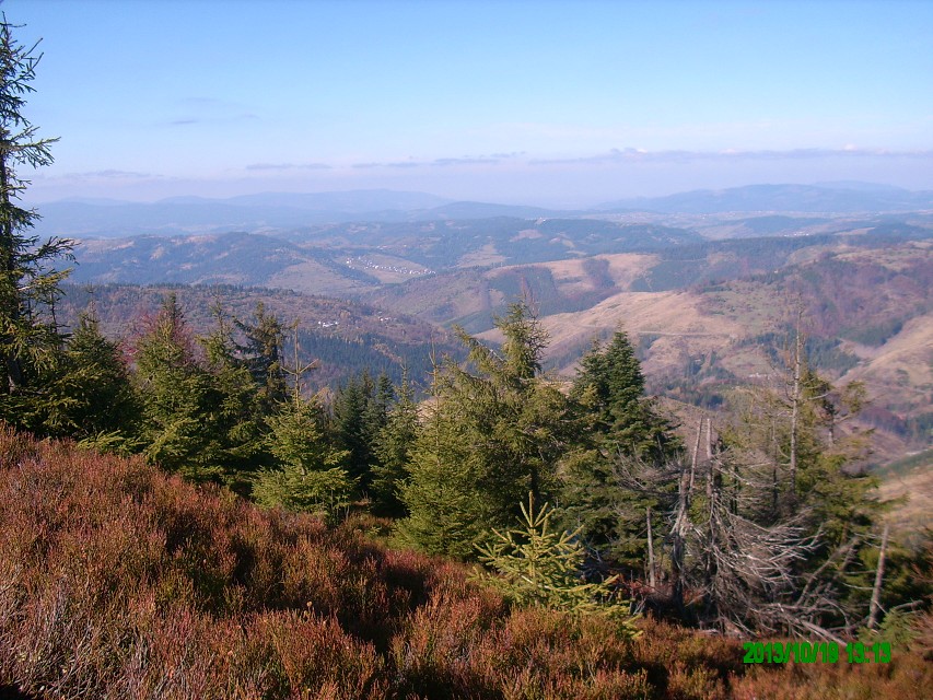 img00024.jpg
