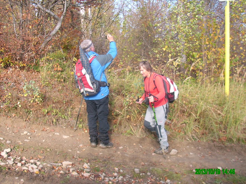 img00029.jpg
