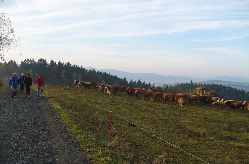 img00006.jpg