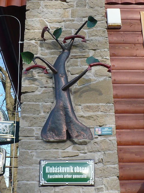 img00015.jpg