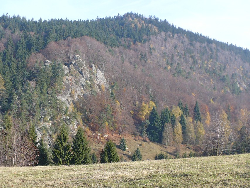 img00017.jpg