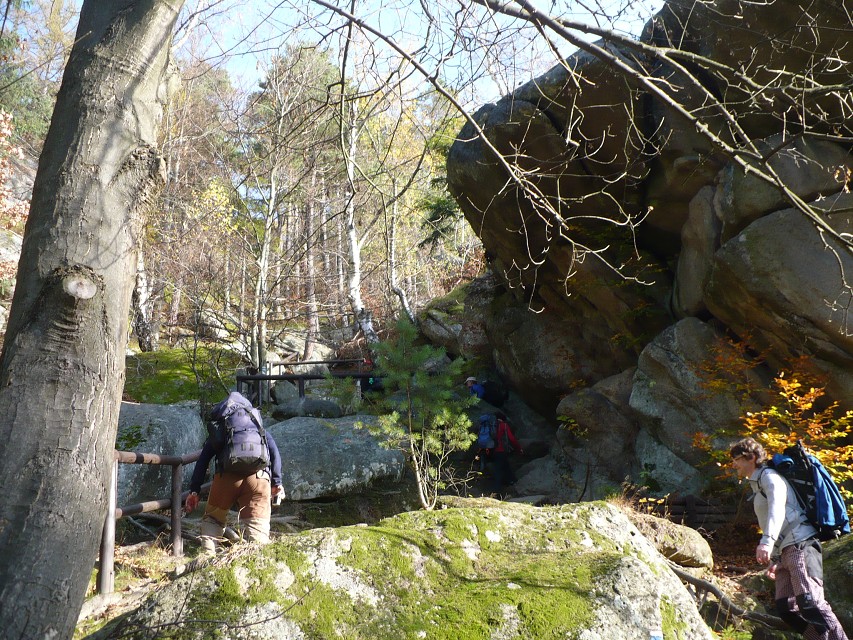 img00019.jpg