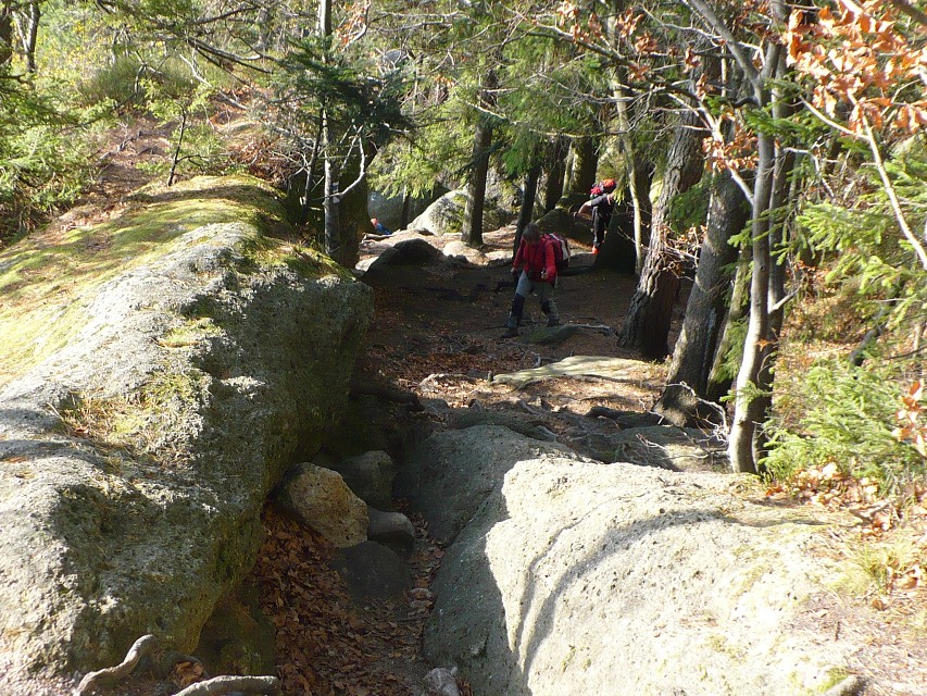 img00020.jpg