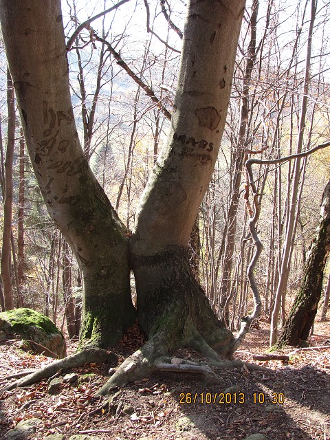 img00027.jpg
