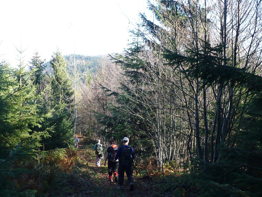 img00030.jpg