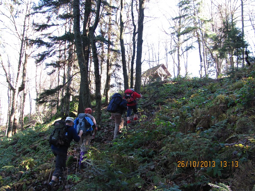 img00031.jpg