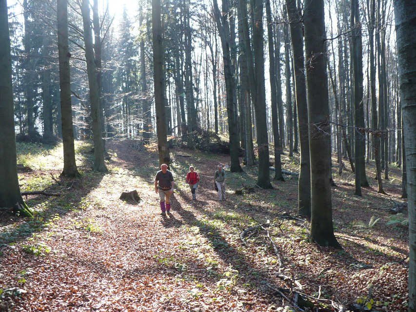 img00036.jpg
