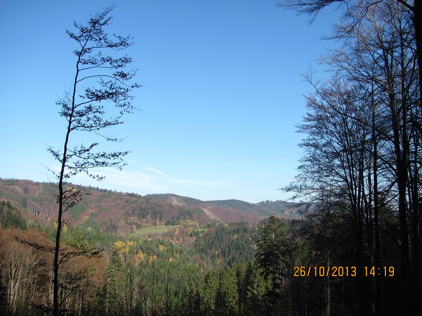 img00037.jpg