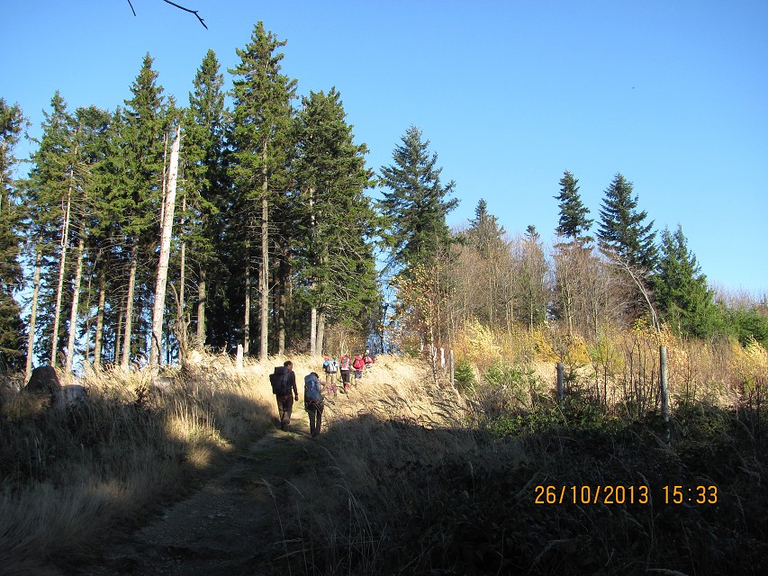 img00041.jpg