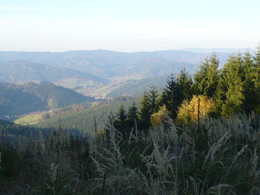 img00043.jpg